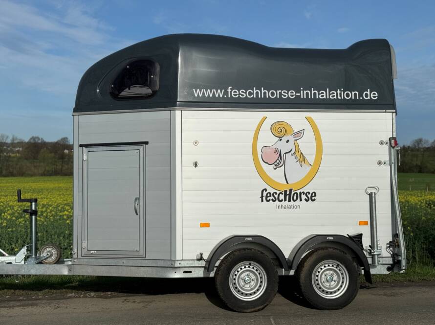 feschorse