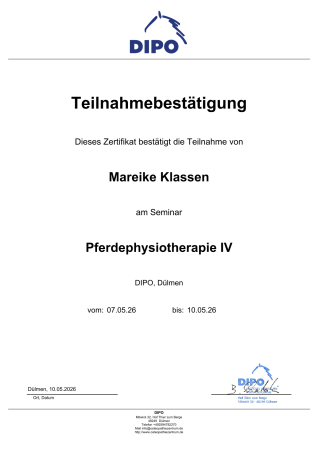 Pferdephysiotherapie4